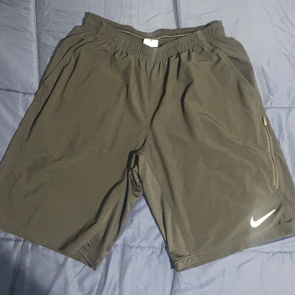 Nike Dri-Fit Shorts (Size L)